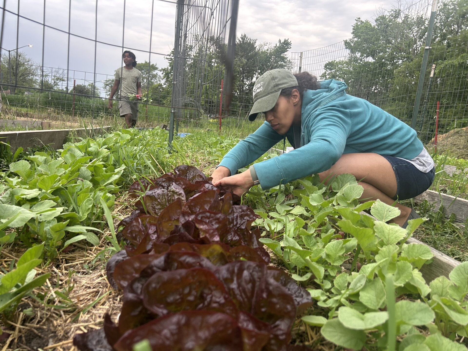 Working in the garden